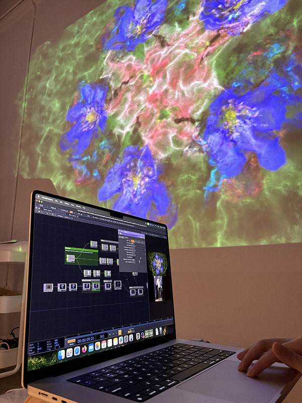 Touchdesigner Plant Nodes