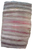 Watermelon strips